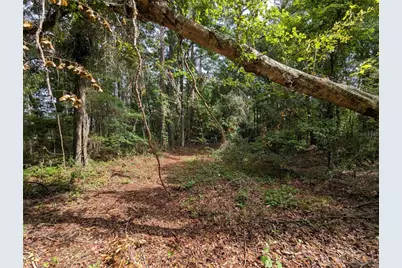91st Street, Alachua, FL 32615 - Photo 27