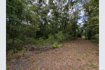 91st Street, Alachua, FL 32615 - Photo 21