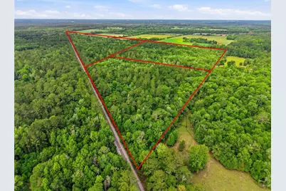 91st Street, Alachua, FL 32615 - Photo 3