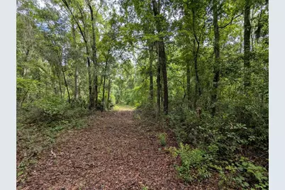 91st Street, Alachua, FL 32615 - Photo 29