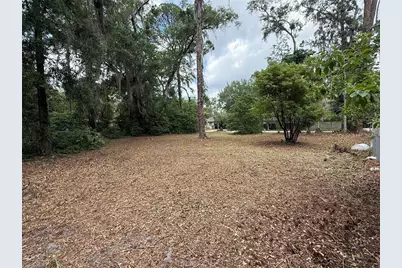 Ne 8th Avenue, Gainesville, FL 32601 - Photo 3