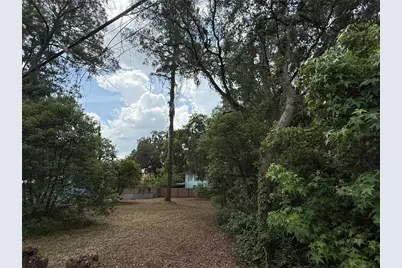 Ne 8th Avenue, Gainesville, FL 32601 - Photo 7