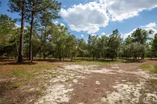 5670 Acadia St, Keystone Heights, FL 32656 - Photo 13