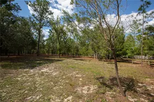 5670 Acadia St, Keystone Heights, FL 32656 - Photo 17