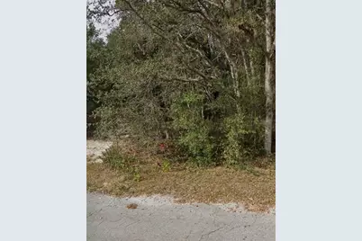 Tbd Fisher Way Crse, Ocklawaha, FL 32179 - Photo 3