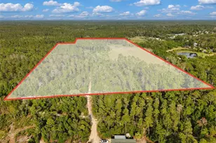 Savanna Ln, Steinhatchee, FL 32359 - Photo 1