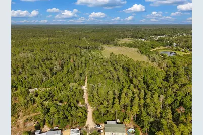 Savanna Lane, Steinhatchee, FL 32359 - Photo 13