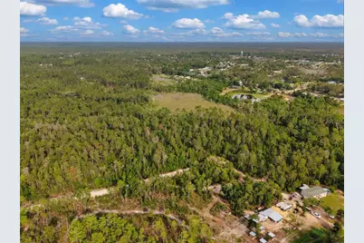 Savanna Lane, Steinhatchee, FL 32359 - Photo 7
