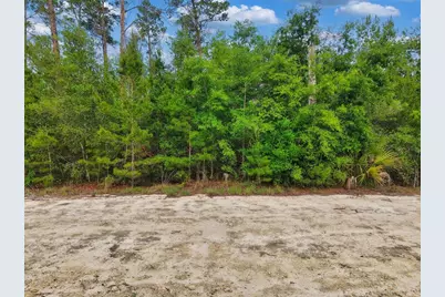 Savanna Lane, Steinhatchee, FL 32359 - Photo 3