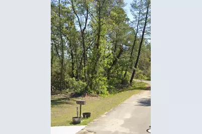 Tbd Fisher Court, Ocklawaha, FL 32179 - Photo 1