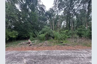 3638 E Lee Drive, Inverness, FL 34453 - Photo 1