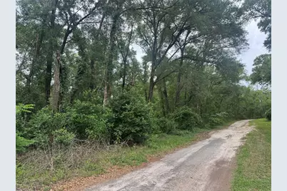 3638 E Lee Drive, Inverness, FL 34453 - Photo 3