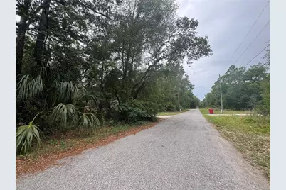 3462 E Michael Street, Inverness, FL 34453 - Photo 3