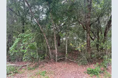 3462 E Michael Street, Inverness, FL 34453 - Photo 5