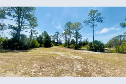 Tbd SW 101st Ln, Cedar Key, FL 32625 - Photo 1