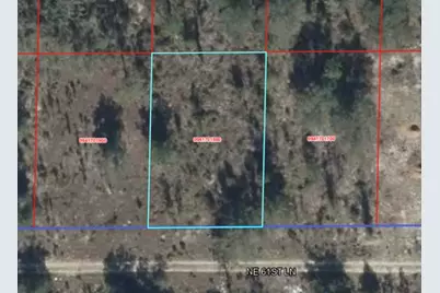 Ne 61st Lane, Williston, FL 32696 - Photo 3
