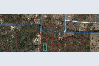 Se 60 Street, Morriston, FL 32668 - Photo 3