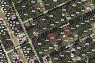 3676 & 3718 E Walker St, Inverness, FL 34453 - Photo 1