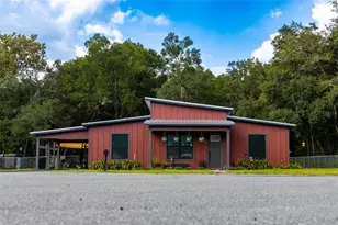 8031 NW 172nd Ln, Fanning Springs, FL 32693 - Photo 5