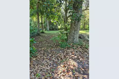 16615 NE 45th Court, Citra, FL 32113 - Photo 5