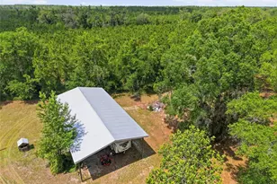 7851 SW County Road 796, Lake Butler, FL 32054 - Photo 67