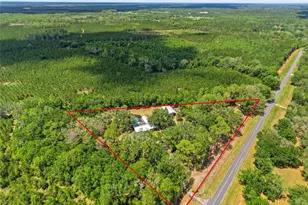 7851 SW County Road 796, Lake Butler, FL 32054 - Photo 3
