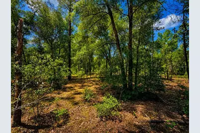 Tbd SW 93rd Place, Dunnellon, FL 34432 - Photo 3