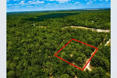 Tbd SW 93rd Place, Dunnellon, FL 34432 - Photo 5