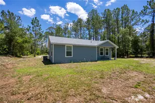 9025 SE Co Rd 221, Hampton, FL 32044 - Photo 3