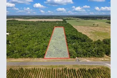 Lot 3 N State Rd 129, Branford, FL 32008 - Photo 3