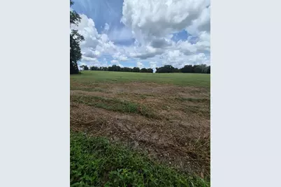 8748 NE Jacksonville Road, Anthony, FL 32617 - Photo 3