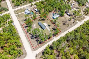 191 NE 136 Ct, Williston, FL 32696 - Photo 27