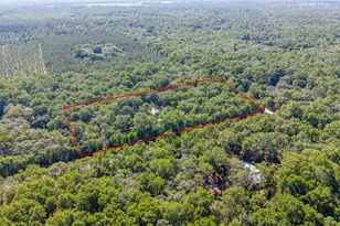 13291 NW 86th Ave, Chiefland, FL 32626 - Photo 43