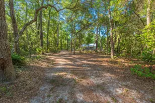 13291 NW 86th Ave, Chiefland, FL 32626 - Photo 41