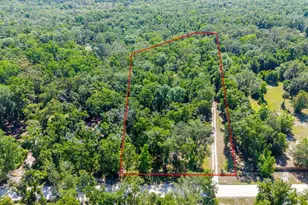 343 NE 743rd St, Old Town, FL 32680 - Photo 41