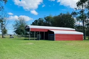 10 SW 50th Ave, Bell, FL 32619 - Photo 9