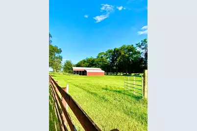 10 SW 50th Avenue, Bell, FL 32619 - Photo 15