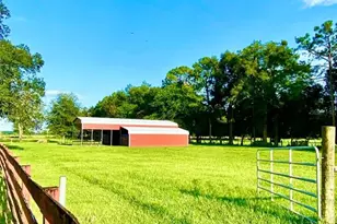 10 SW 50th Ave, Bell, FL 32619 - Photo 15