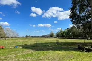 10 SW 50th Ave, Bell, FL 32619 - Photo 43