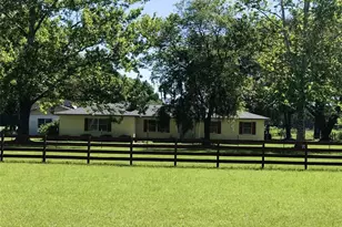 10 SW 50th Ave, Bell, FL 32619 - Photo 3