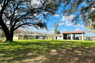 10 SW 50th Ave, Bell, FL 32619 - Photo 5