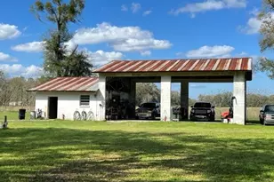 10 SW 50th Ave, Bell, FL 32619 - Photo 7