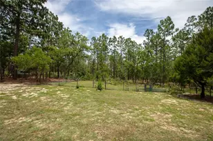 249 Melrose Landing Dr, Hawthorne, FL 32640 - Photo 47