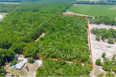 Tbd NW 40 Avenue, Bell, FL 32619 - Photo 3