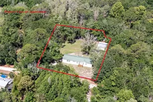 17824 NE 143rd Terrace, Waldo, FL 32694 - Photo 5