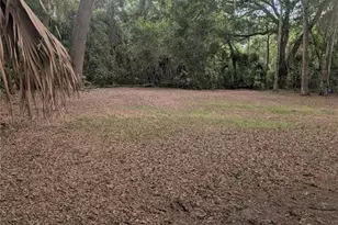 25007 NW 6th Ave, Newberry, FL 32669 - Photo 23