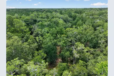 1504 NW 156th Avenue, Gainesville, FL 32609 - Photo 59