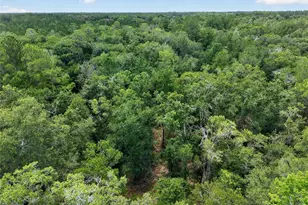 1504 NW 156th Ave, Gainesville, FL 32609 - Photo 59