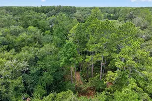 1504 NW 156th Ave, Gainesville, FL 32609 - Photo 61