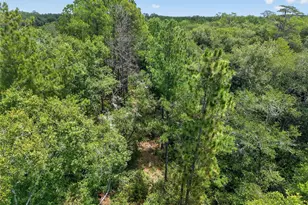 1504 NW 156th Ave, Gainesville, FL 32609 - Photo 65